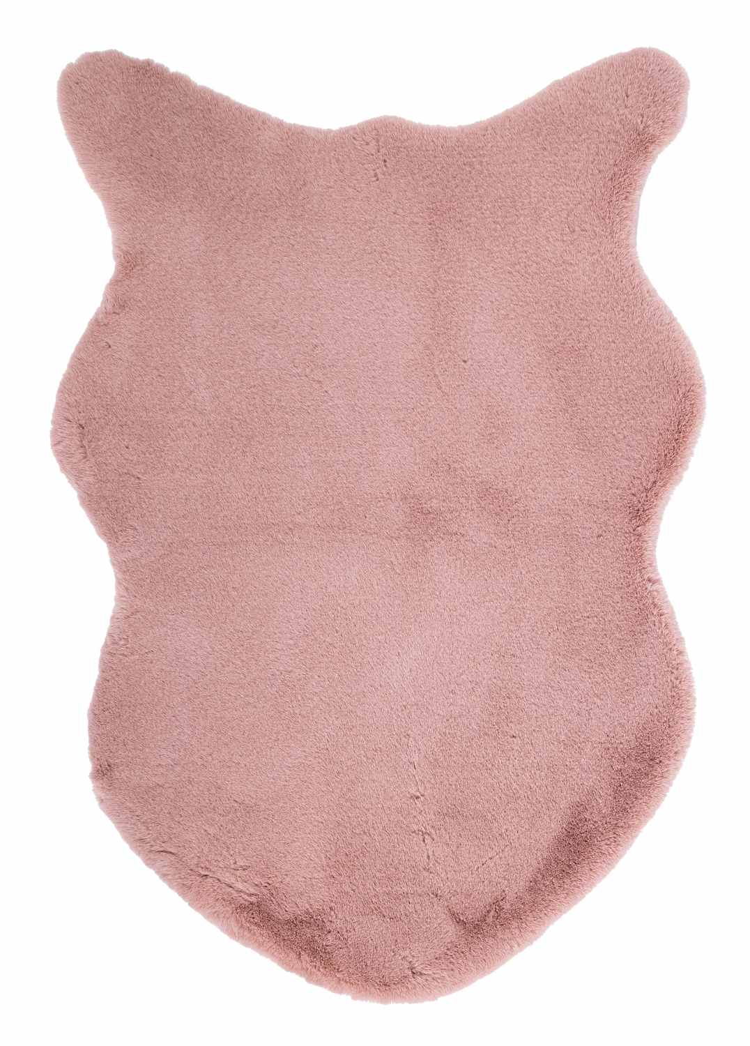Der Teppich Kathlyn überzeugt mit seinem klassischen Design. Gefertigt wurde er aus 100% Polyester. Der Teppich besitzt einen rosa Farbton und die Maße von 60x90 cm.