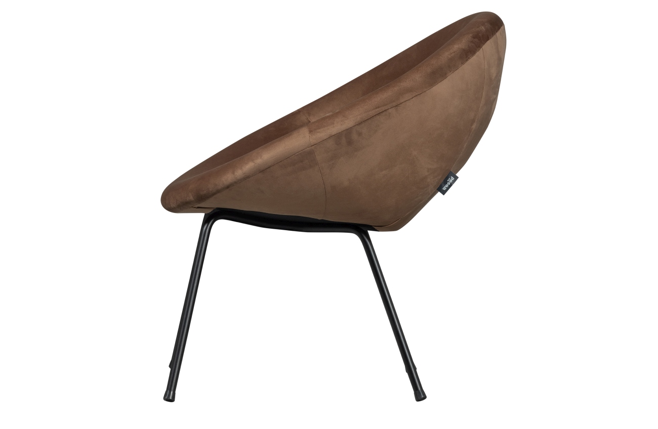 Der Sessel Moly überzeugt mit seinem modernen Stil. Gefertigt wurde er aus Samt, welches einen braunen Farbton besitzt. Das Gestell ist aus Metall und hat eine schwarze Farbe. Der Sessel verfügt über eine Sitzhöhe von 45 cm.