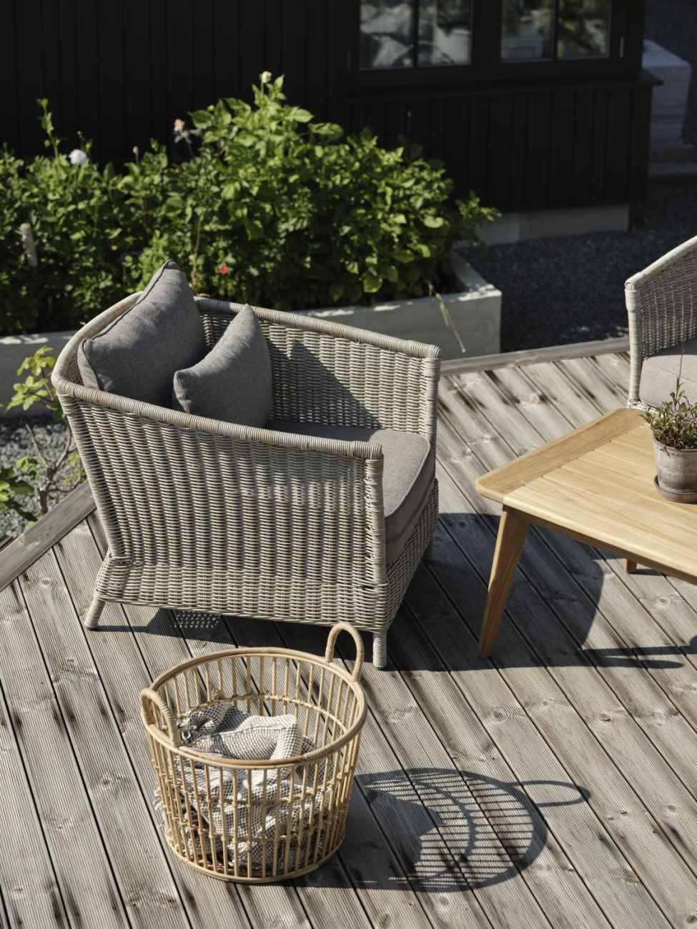 Der Gartensessel Aster überzeugt mit seinem modernen Design. Gefertigt wurde er aus Rattan, welches einen Beigen Farbton besitzt. Das Gestell ist auch aus Metall und hat eine schwarze Farbe. Die Sitzhöhe des Sessels beträgt 41 cm.