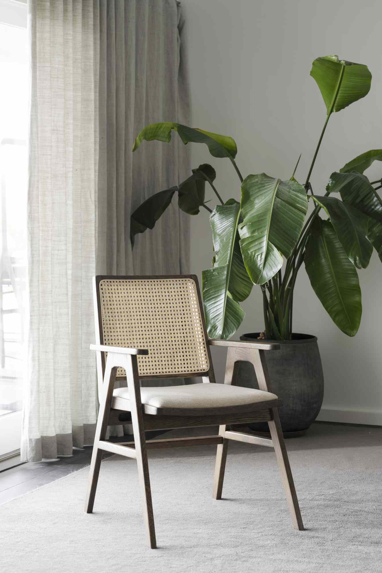 Edles Möbelstück: Stuhl Prestwick 2er Set mit Armlehnen, Braun für stilvolle Einrichtung.