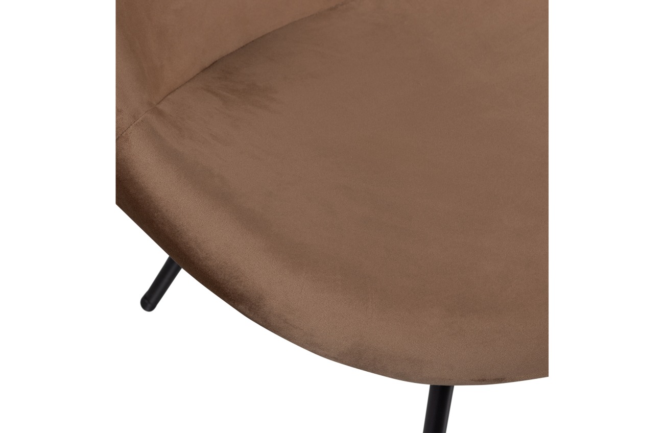 Der Sessel Moly überzeugt mit seinem modernen Stil. Gefertigt wurde er aus Samt, welches einen braunen Farbton besitzt. Das Gestell ist aus Metall und hat eine schwarze Farbe. Der Sessel verfügt über eine Sitzhöhe von 45 cm.