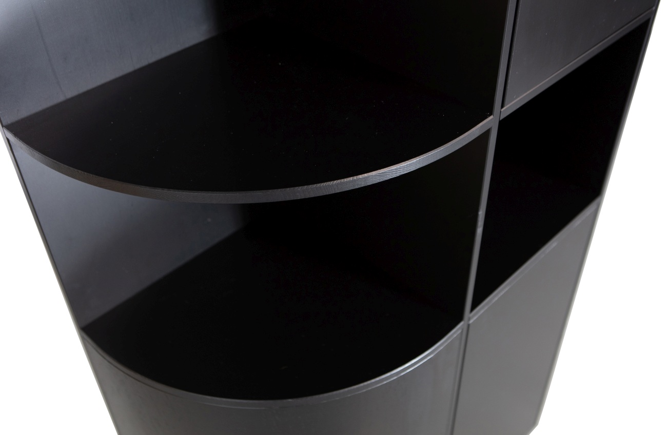 Der Schrank Fianca überzeugt mit seinem modernen Design. Gefertigt wurde es aus Kiefernholz, welches einen schwarzen Farbton besitzt. Der Schrank besitzt eine Größe von 78x40x210 cm.