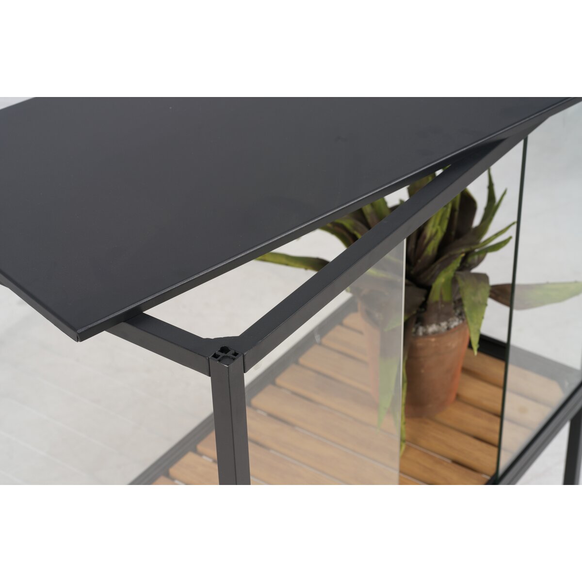 Pflanzenschrank Grower Greens, Schwarz -  Aluminium, Glas mit 1 Boden