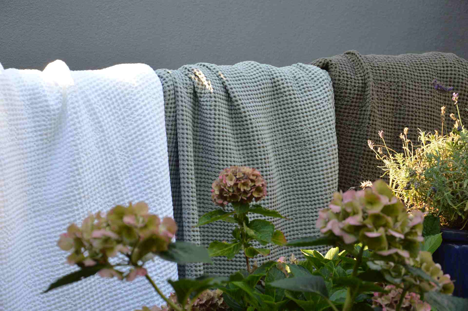 Die bequeme Decke Alba wurde aus hundert Prozent Bauwolle gefertigt. Designet wurde sie von der Marke Jan Kurtz. Sie ist perfekt geeignet für schöne Sommerabende im Garten. Die Farbe der Decke ist Braun.