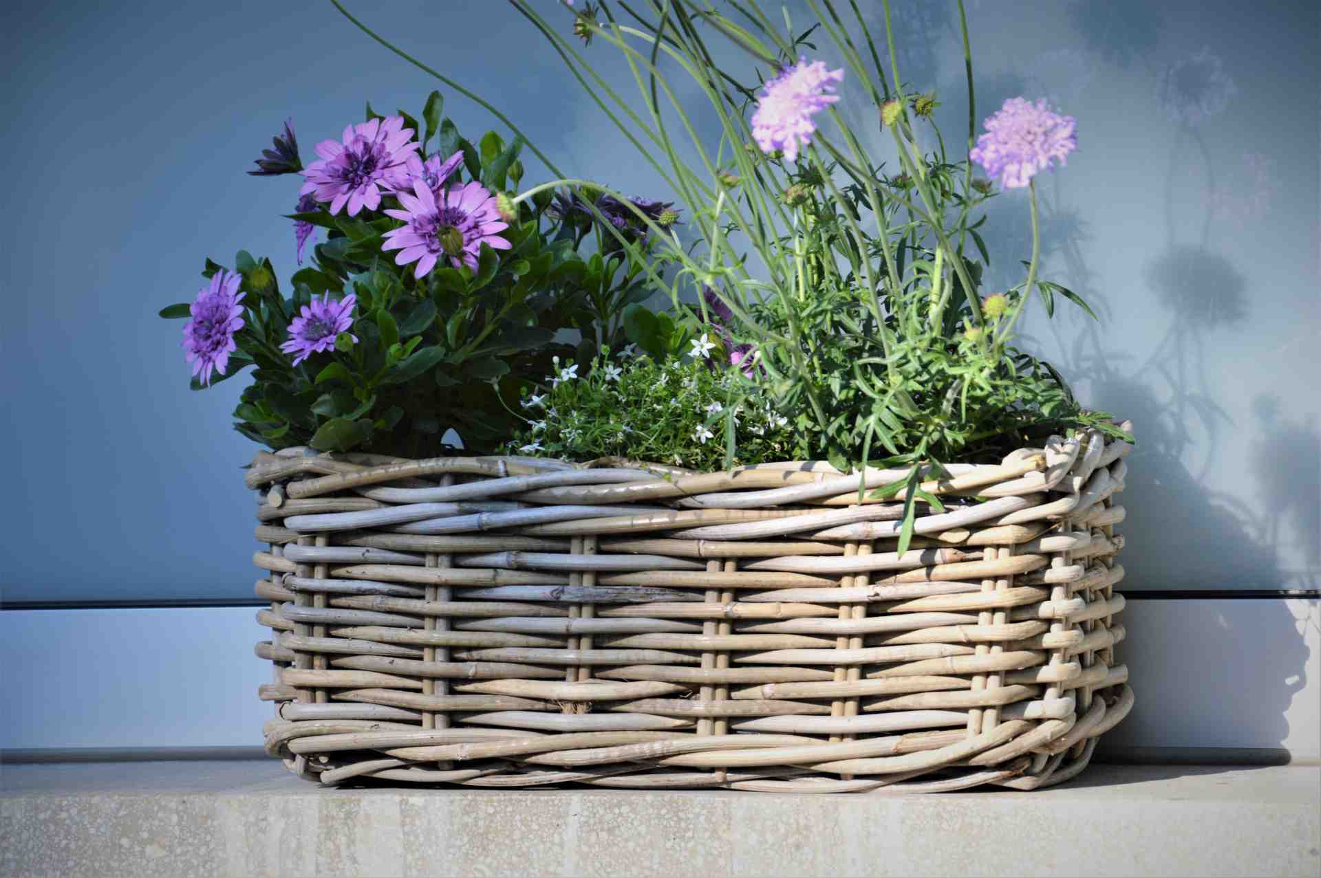 Pflanzenkasten Palau aus Naturrattan Pflanzenkasten Palau aus Naturrattan