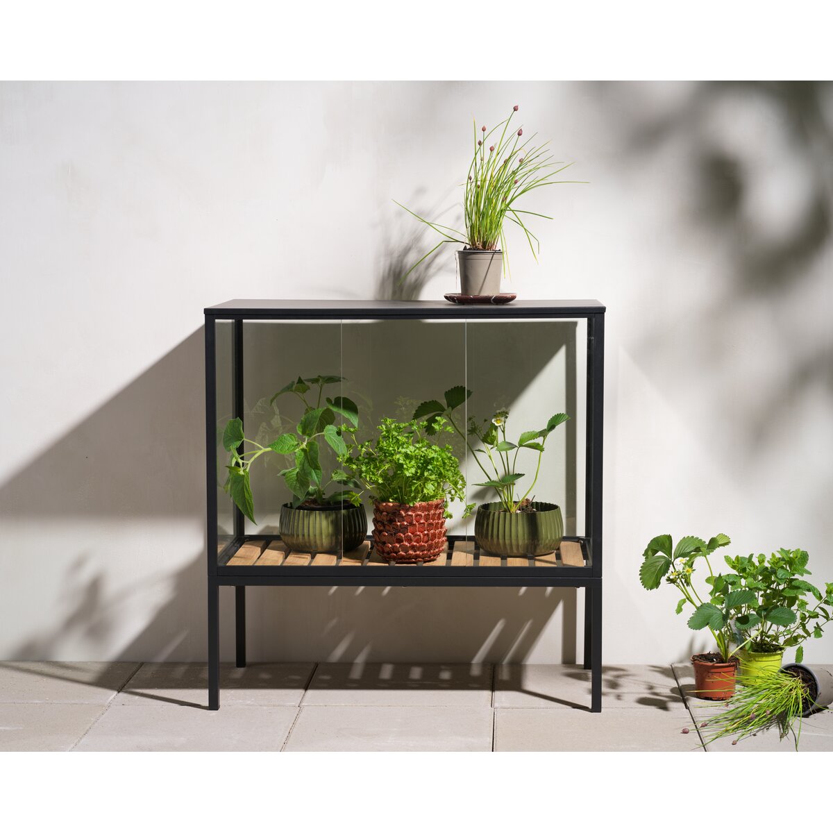Pflanzenschrank Grower Greens, Schwarz -  Aluminium, Glas mit 1 Boden