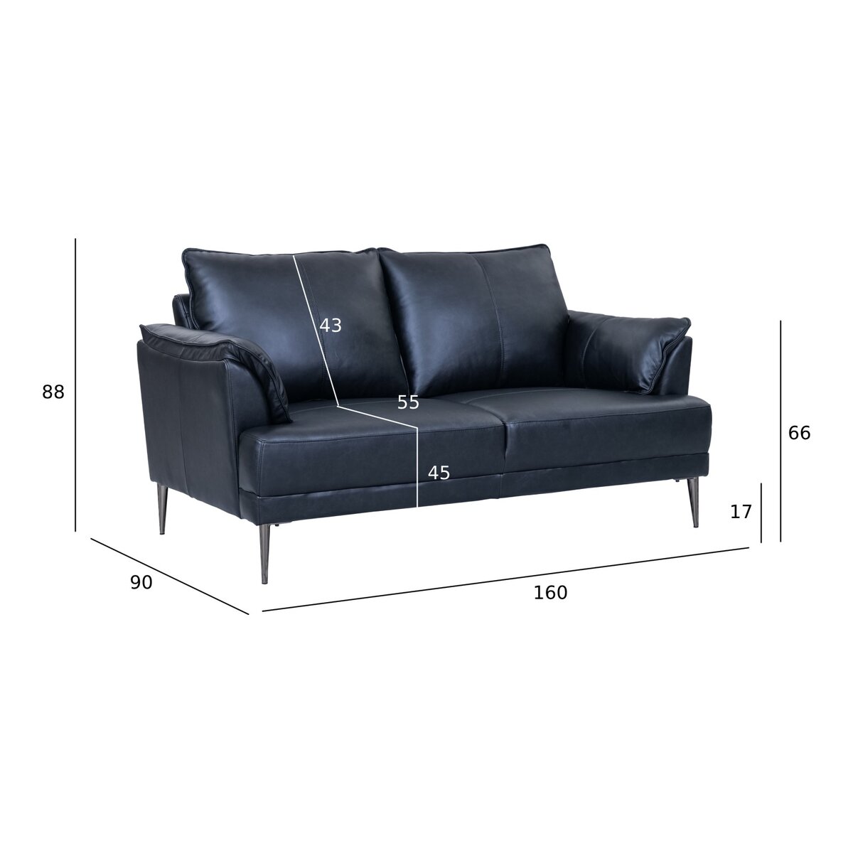 2-Sitzer Sofa Luso Leder Schwarz - mit Taschenfederkern & schwarzem Metallrahmen