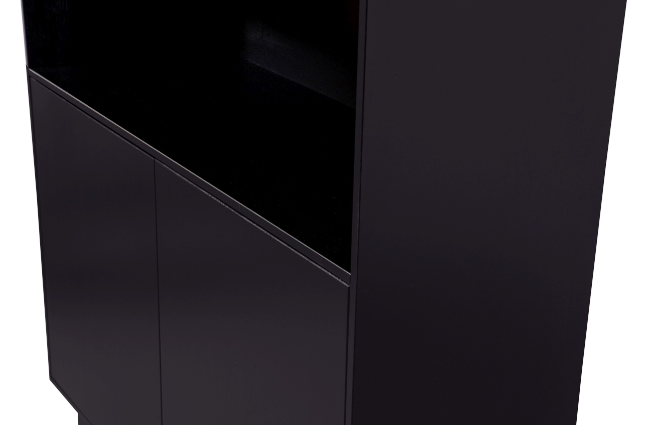 Der Schrank Fianca überzeugt mit seinem modernen Design. Gefertigt wurde es aus Kiefernholz, welches einen schwarzen Farbton besitzt. Der Schrank besitzt eine Größe von 110x40x170 cm.