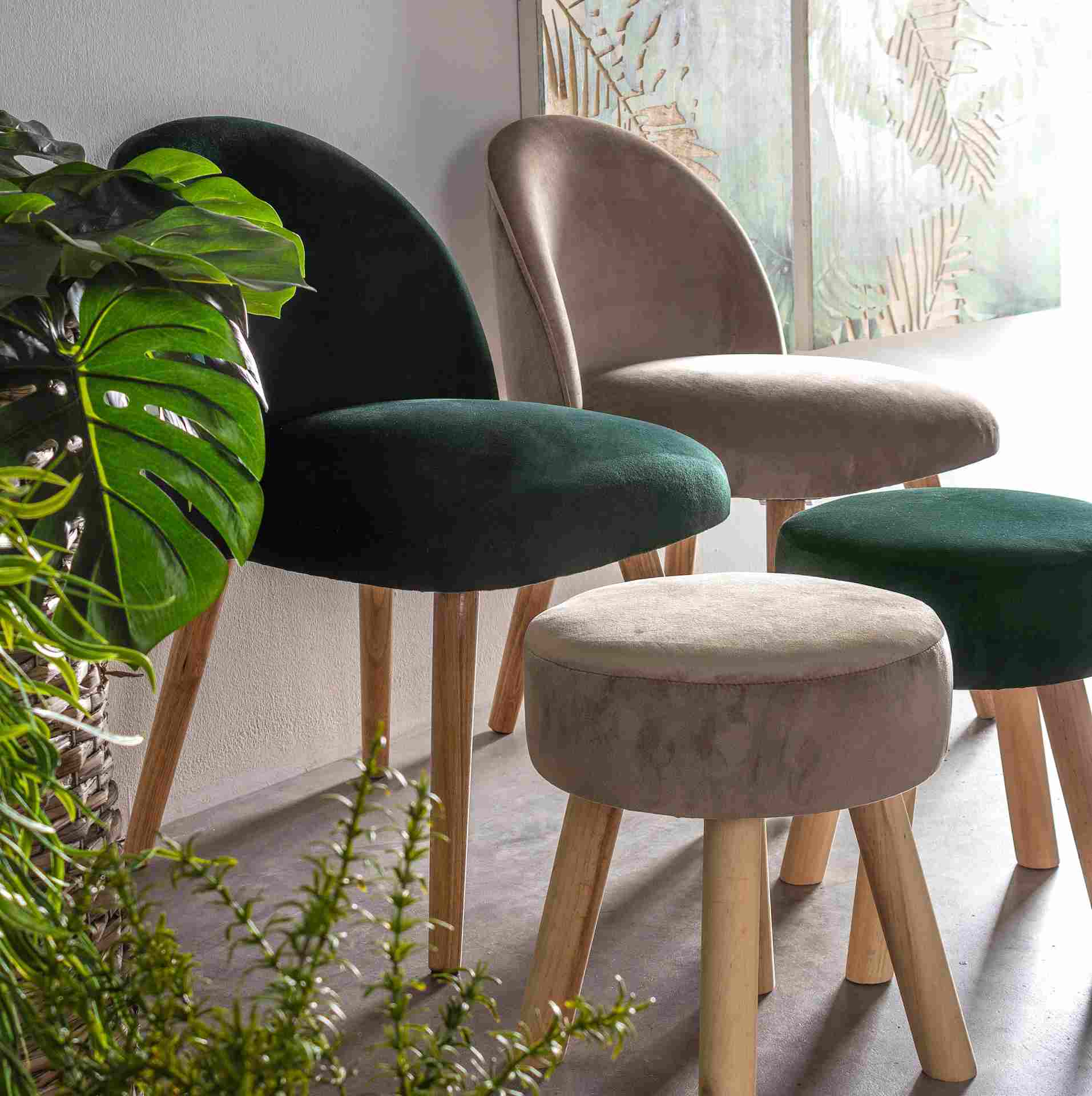 Der Stuhl Adeline überzeugt mit seinem klassischen Design. Gefertigt wurde er aus Stoff in Samt-Optik, welcher einen Taupe Farbton besitzt. Das Gestell ist aus Buchenholz und hat eine natürliche Farbe. Der Stuhl besitzt eine Sitzhöhe von 42 cm. Die Breite