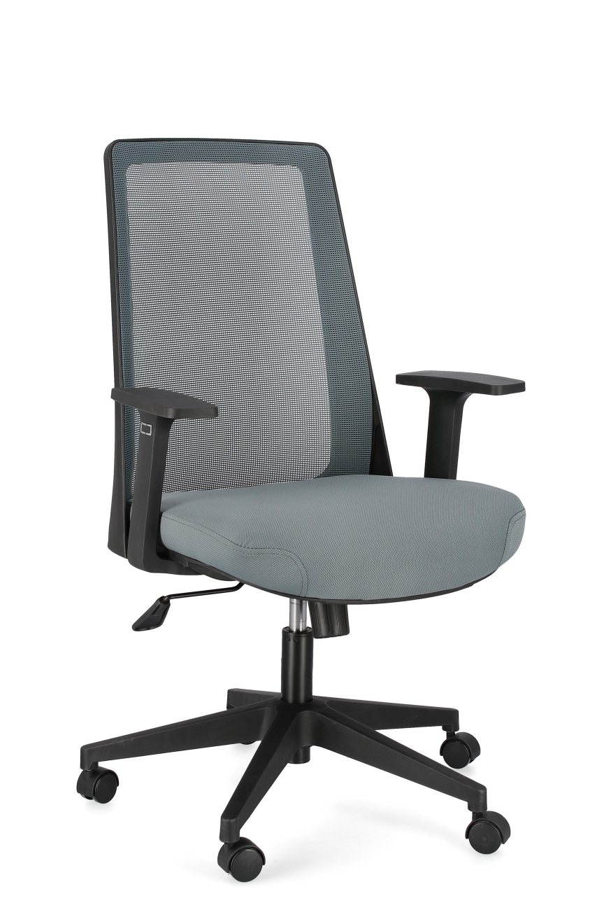Bürostuhl Wesley mit Armlehne, Grau Bürostuhl Wesley mit Armlehne, Grau