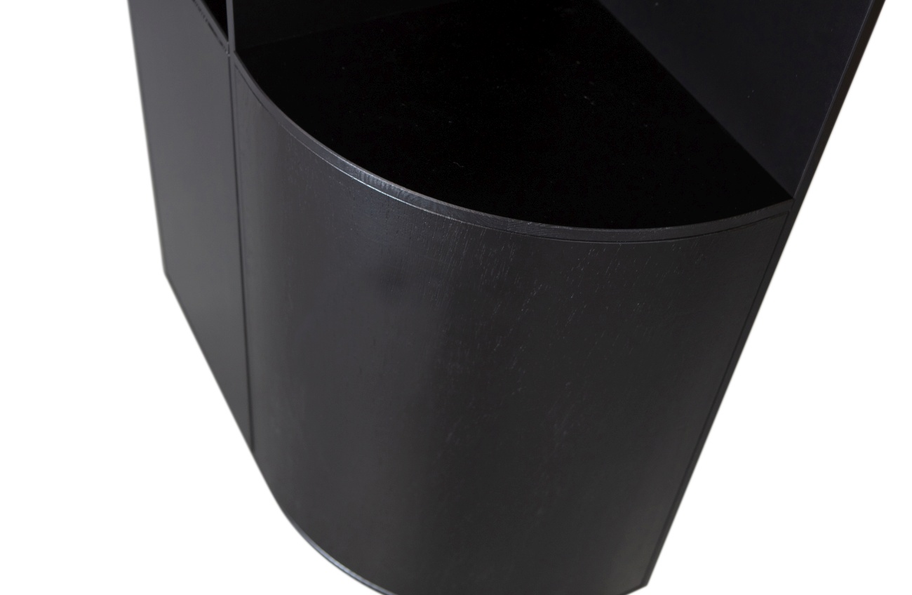 Der Schrank Fianca überzeugt mit seinem modernen Design. Gefertigt wurde es aus Kiefernholz, welches einen schwarzen Farbton besitzt. Der Schrank besitzt eine Größe von 78x40x210 cm.