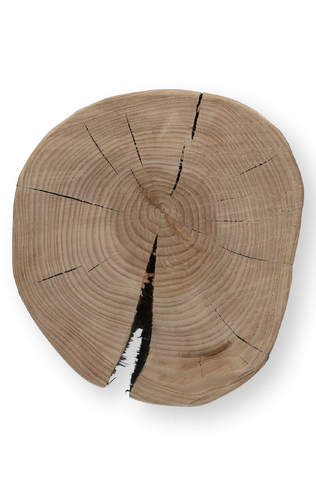 Jan Kurtz Beistelltisch Block rund Kernesche massiv schwarz