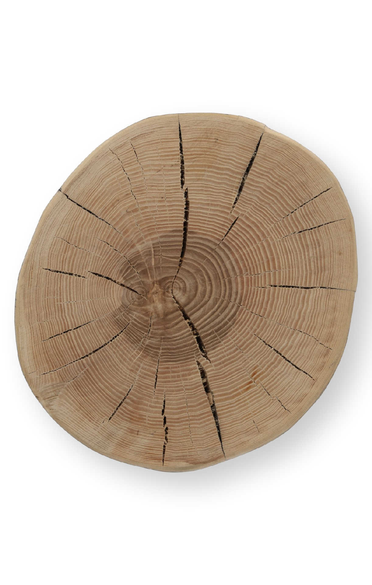 Jan Kurtz Beistelltisch Block rund Kernesche massiv schwarz