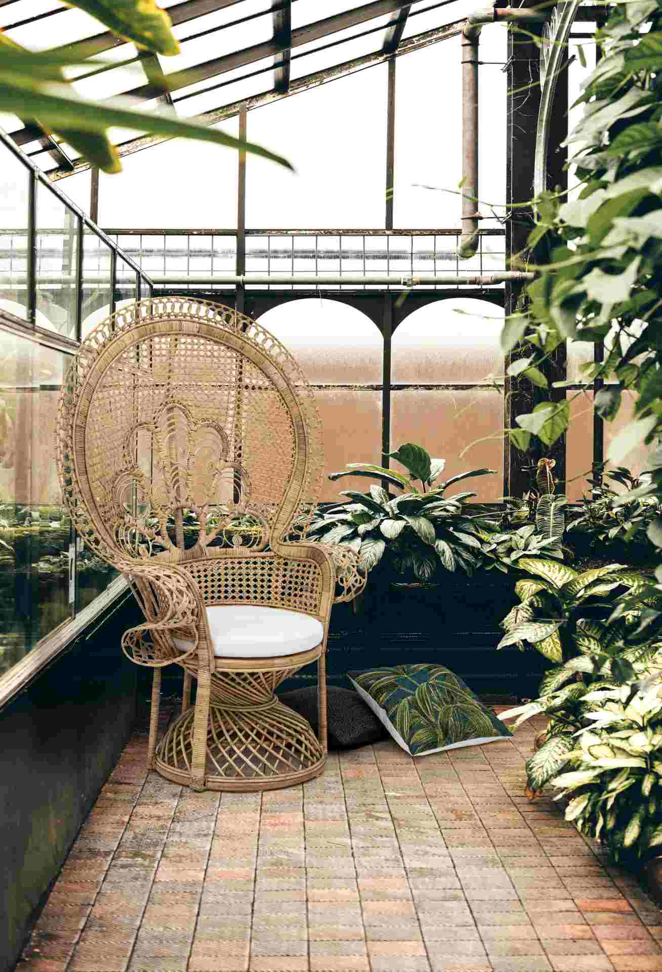 Sessel Peacock aus Rattan, Natur