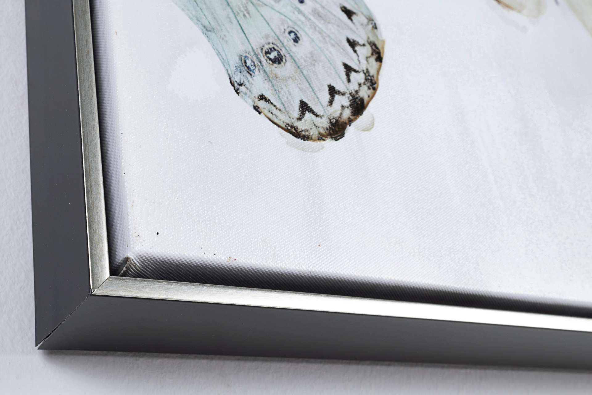 Das Ölbild Butterfly No.2 überzeugt mit ihrem klassischen Design. Das Bild verfügt über einen Druck auf Leinwand. Das Gestell ist aus Tannenholz und der Rahmen aus Kunststoff. Die Maße sind 82x82 cm.