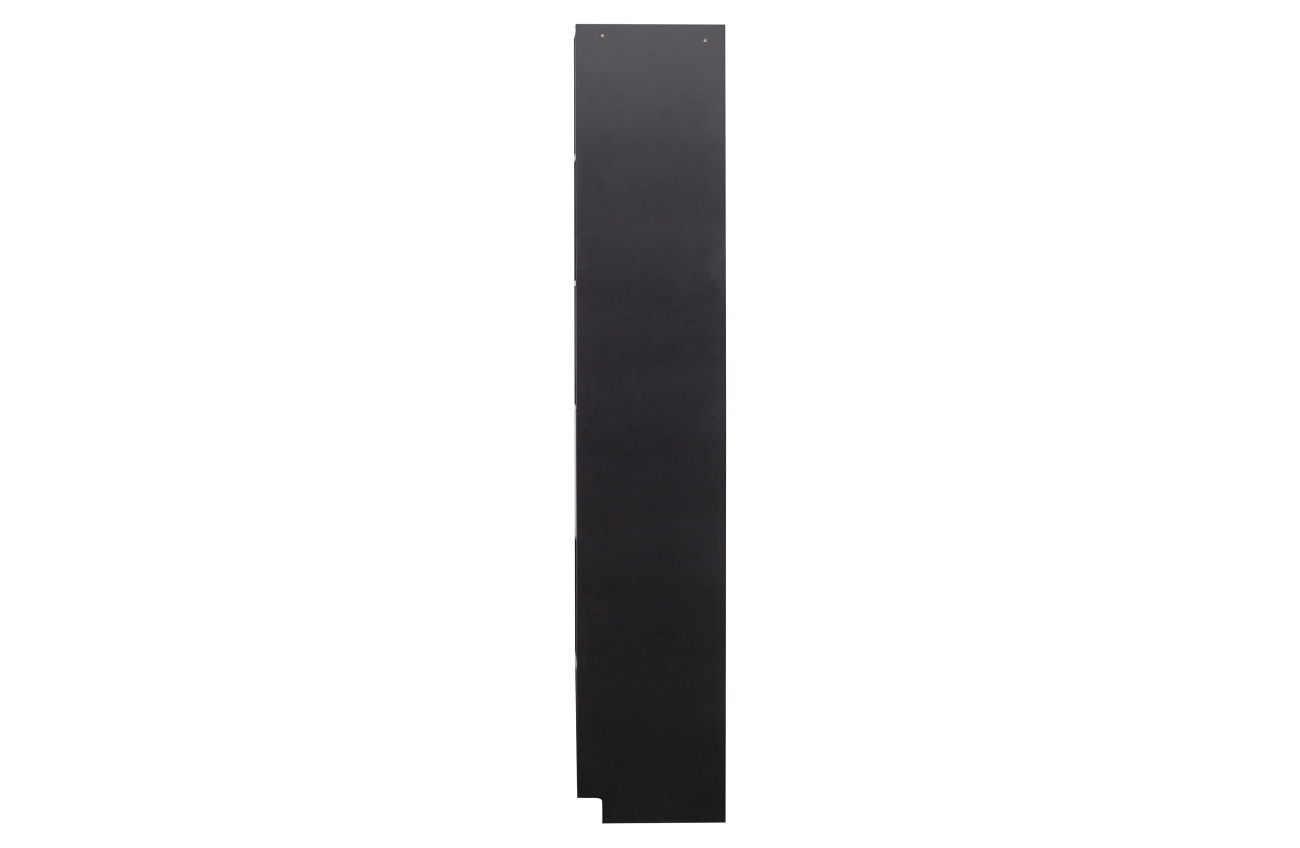 Das Regal Fianca überzeugt mit seinem modernen Design. Gefertigt wurde es aus Kiefernholz, welches einen schwarzen Farbton besitzt. Das Regal besitzt eine Größe von 40x40x210 cm und ist beliebig mit anderen Teilen kombinierbar.