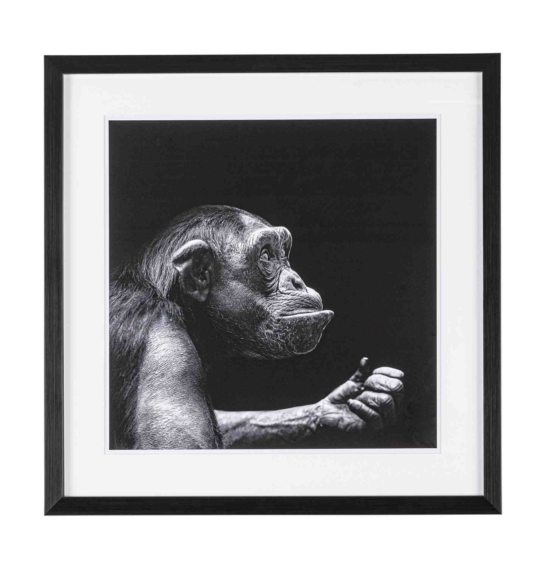 Das Bild Monkey überzeugt mit ihrem klassischen Design. Das Bild verfügt über einen Druck auf Papier. Das Gestell ist aus MDF und der Rahmen aus Kunststoff. Die Maße sind 50x50 cm.