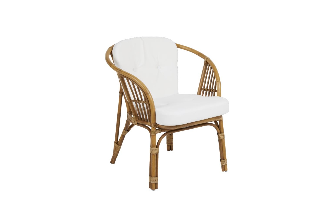 Der Gartensessel Astraken überzeugt mit seinem modernen Design. Gefertigt wurde er aus Rattan, welches einen natürlichen Farbton besitzt. Das Gestell ist auch aus Rattan. Die Sitzhöhe des Sessels beträgt 47 cm.